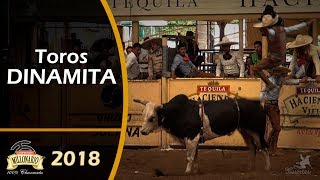 Puros TOROS DE REPARO  Campeonato Millonario THV 2018 [upl. by Marybella973]