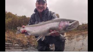 Naknek Fish Camp 2016 featuring fly out to Brooks Camp Katmai National Park [upl. by Ahtaela]