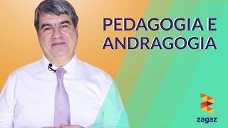 Pedagogia e Andragogia  EDUCAÇÃO [upl. by Niliac659]