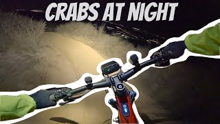 MTB San Diego Crabs at Night Magicshine bike lights [upl. by Tloc]