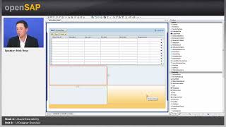 UI Designer Overview  W3U2  Application Development for SAP Business ByDesign [upl. by Dann]