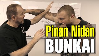 Pinan Nidan Bunkai [upl. by Ahsenal]