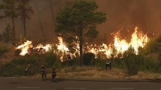 Balcani in fiamme gli incendi bruciano Albania e Croazia [upl. by Aihsiek]