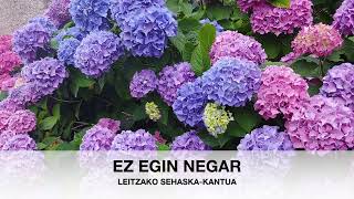 ITZIAR AZPIROZEZ EGIN NEGAR [upl. by Laurance]