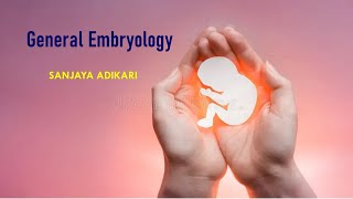 General Embryology [upl. by Yahsed]