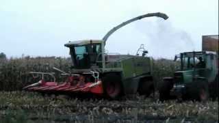 Claas Jaguar 900 und Fendt 612 Lsa 930 Vario [upl. by Ardnak]