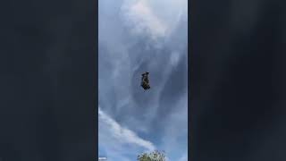 Flyboard Air The Incredible JetPowered Hoverboard by Franky Zapatashortsvideo shortvideo short [upl. by Varipapa886]