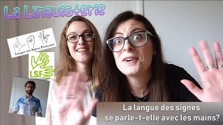 La Linguisterie 8  La langue des signes se parletelle avec les mains [upl. by Phylis]