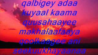 qalbi by gadavi lyrics [upl. by Ahsimat180]