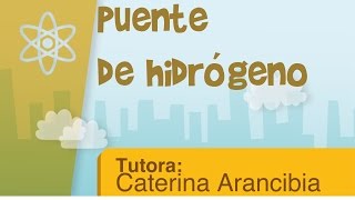 El puente de hidrógeno [upl. by Atla220]