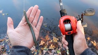 Catch MORE Bass This WINTER Bass Fishing Tips [upl. by Dripps]