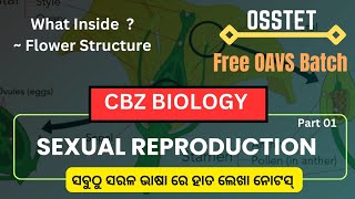 Reproduction in Plants  Structure of Flower  Biology Class TGT SCIENCE OAVS [upl. by Ardnuahc]