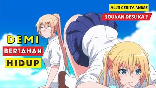 Terdampar Di Pulau Tak Berpenghuni  Alur Cerita Anime Sounan Desu Ka [upl. by Helga]