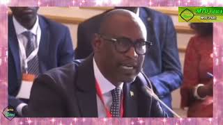 CEDEAO et AES Abdoulaye Diop dit tout Le discours de Bruxelles [upl. by Careaga]