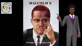 Malcolm X PART 2 [upl. by Dearman]