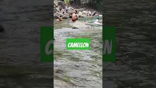 El camellon [upl. by Stelmach]