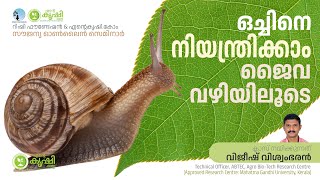 ഒച്ചിനെ നിയന്ത്രിക്കാം ജൈവരീതിയില്‍  ഒച്ച് [upl. by Niwroc640]