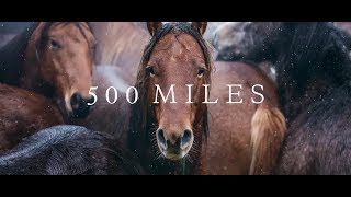 500 Miles  The Story of Ranchers and Horses 2017 [upl. by Zantos490]