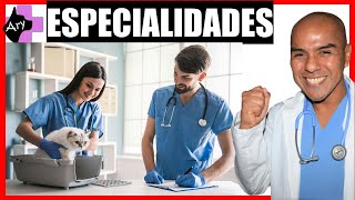 Especialidades Veterinarias [upl. by Dranoel]