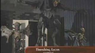 CHR265  THRASHING LYCAN [upl. by Klein]