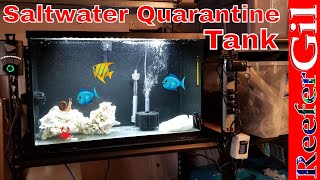 Build SeriesEps 23 How To Set Up A Quarantine Tank [upl. by Munshi]