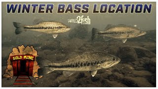 Where Bass Go in the Winter and When to Fish Them [upl. by Ehtiaf]