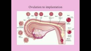 OBSTETRICS CLINICAL EXAMINATION DEMONSTRATION [upl. by Eleik]