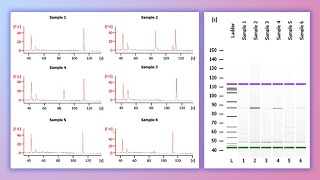 Forensic DNA Profiling Part I [upl. by Adnirak226]