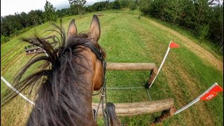 Helmet Cam Riot Gear 2021 Area III Intermediate Horse Championships [upl. by Tsiuqram]