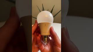 Sengled bluetooth smart bulbs are the best friends of Amazon Alexa [upl. by Pinzler]