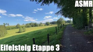 Eifelsteig Etappe 3  Natur pur  Fernwanderweg in der Eifel  longdistance hiking trail  ASMR [upl. by Calysta700]