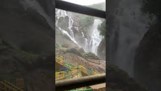 Dudhsagar waterfalls Goa [upl. by Nhguaved]