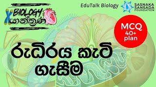 රුධිර කැටි ගැසීම  Blood Clotting  EduTalk Biology [upl. by Aniluap90]