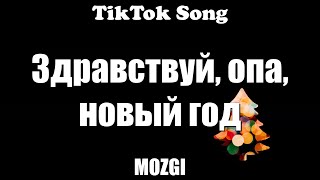 ZAVTRA  MOZGI Здравствуй опа новый годLyrics  TikTok Song [upl. by Ericka]