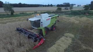 Claas Lexion 620 mit Geringhoff VarioStar 600 [upl. by Cynarra]