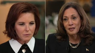 ‘No coincidence’ MSNBC journalist under fire over ‘softball’ Kamala interview [upl. by Ramsden]