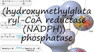 How to pronounce hydroxymethylglutarylCoA reductase NADPHphosphatase [upl. by Analeh744]