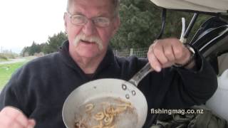 Best Way to Cook Whitebait [upl. by Erinn]