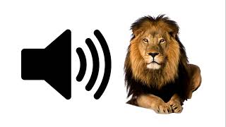 Lion  Sound Effect  ProSounds [upl. by Ayanej]