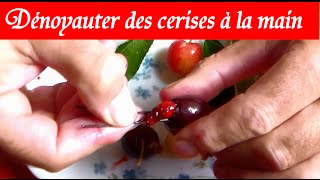 Dénoyauter les cerises à la main sans dénoyauteur  Astuce [upl. by Mariejeanne]