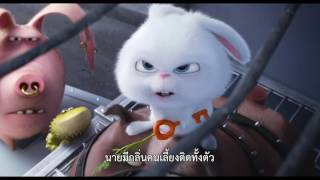 The Secret Life of Pets  Trailer [upl. by Yelyab]