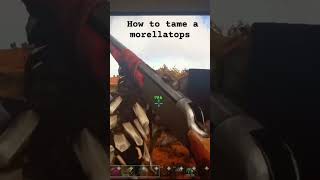 This is how to tame a morellatops ark gaming dinosaur [upl. by Ecined]