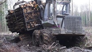 Logging with Logset 6F wet conditions skilled operator [upl. by Asennav168]