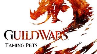 Guild Wars 2  How to Tame Pets [upl. by Perkins907]