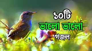 ১০টি ভালো ভালো গজল  bangla gojolgazalNotub gojolসেরা গজল ভালো গজল [upl. by Maclean]