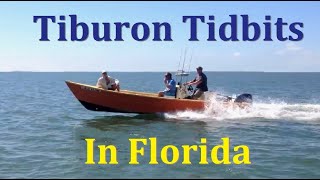 Tiburon Tidbits Florida 2014 [upl. by Necila]