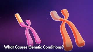 How mutations or variations can lead to genetic conditions [upl. by Arrotal]