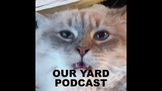 OUR YARD Podcast Episode 24 PART 1 1997 [upl. by Holly-Anne35]