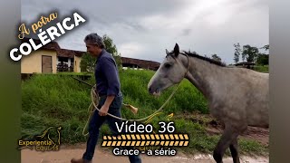 Revisitando a Grace  A Potra Chucra 🐴 Ep 36 [upl. by Idissak87]