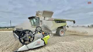 510 Bushel CLAAS 8700 Terra Trac LEXION Combine [upl. by Norina467]